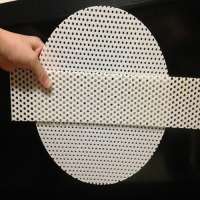 High Quality Food Grade White Perforated Plastic Sheet for Sterilization Layer Pads /Water Filters